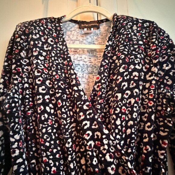 Chic Long Sleeve Animal Print Dress - Picture 3 of 9